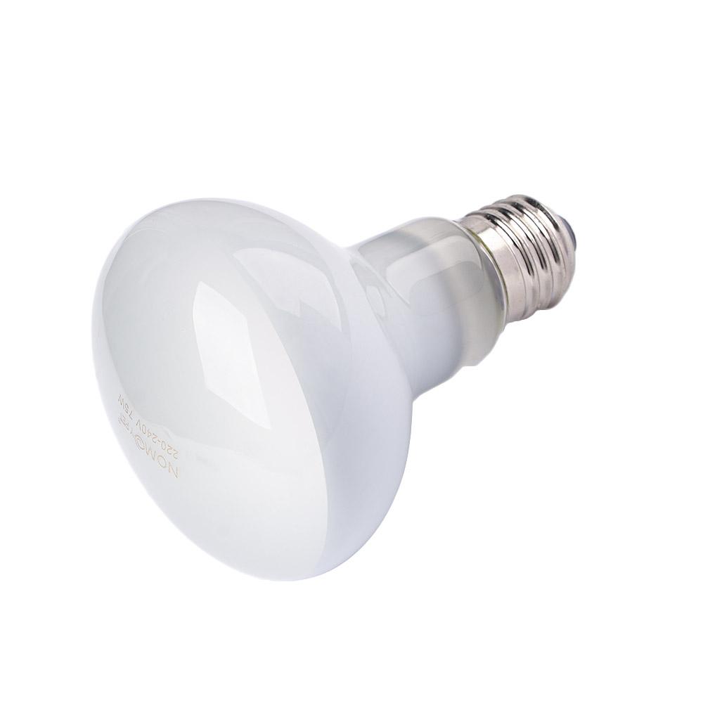 Lizard Heater Temperature Cont - Basking Bulb Halogen recensie en prijs