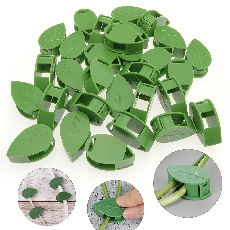 1-50Pcs invisible plant wall c - Vine Climbing Plastic recensie en prijs