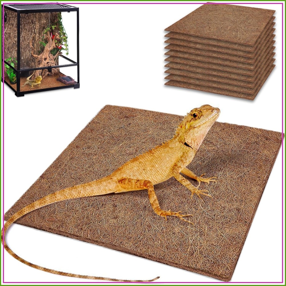 10 Pcs Natural Coconut Fiber R - Substrate Coconut Fiber recensie en prijs