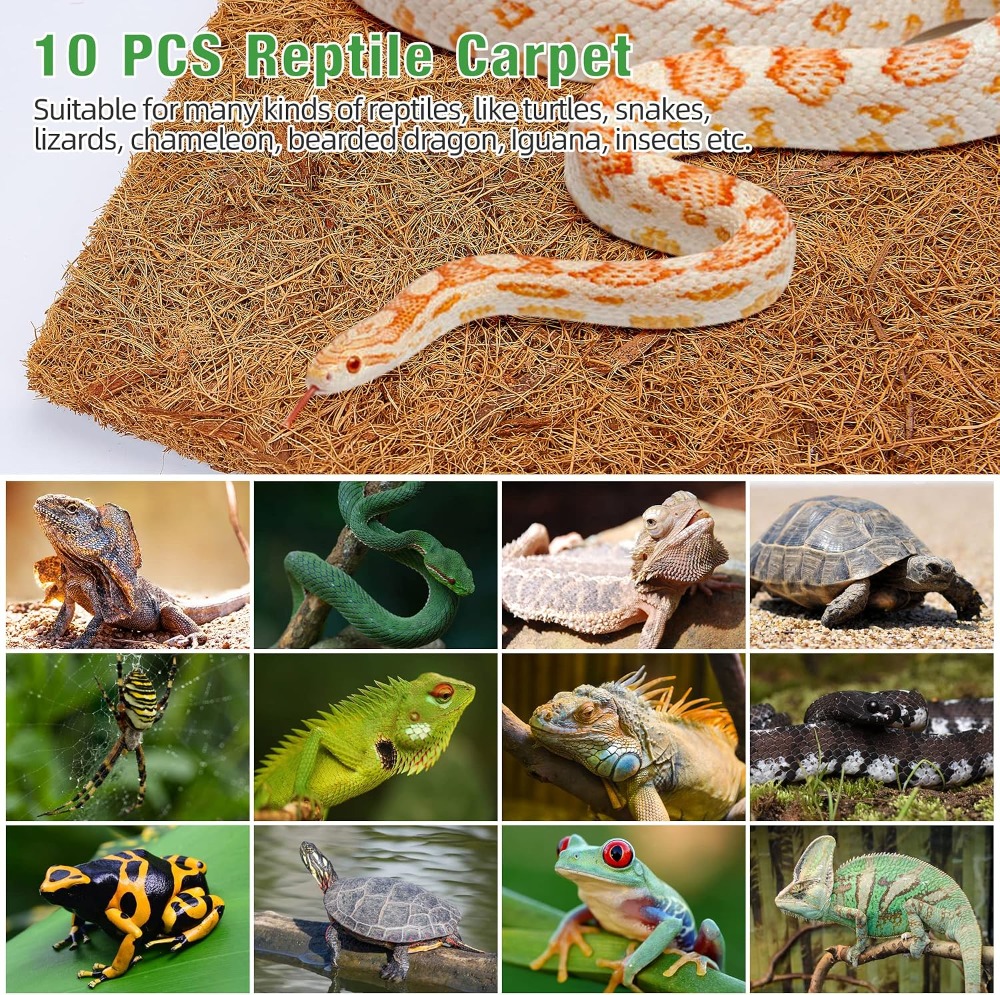 10 Pcs Natural Coconut Fiber R - Substrate Coconut Fiber recensie en prijs