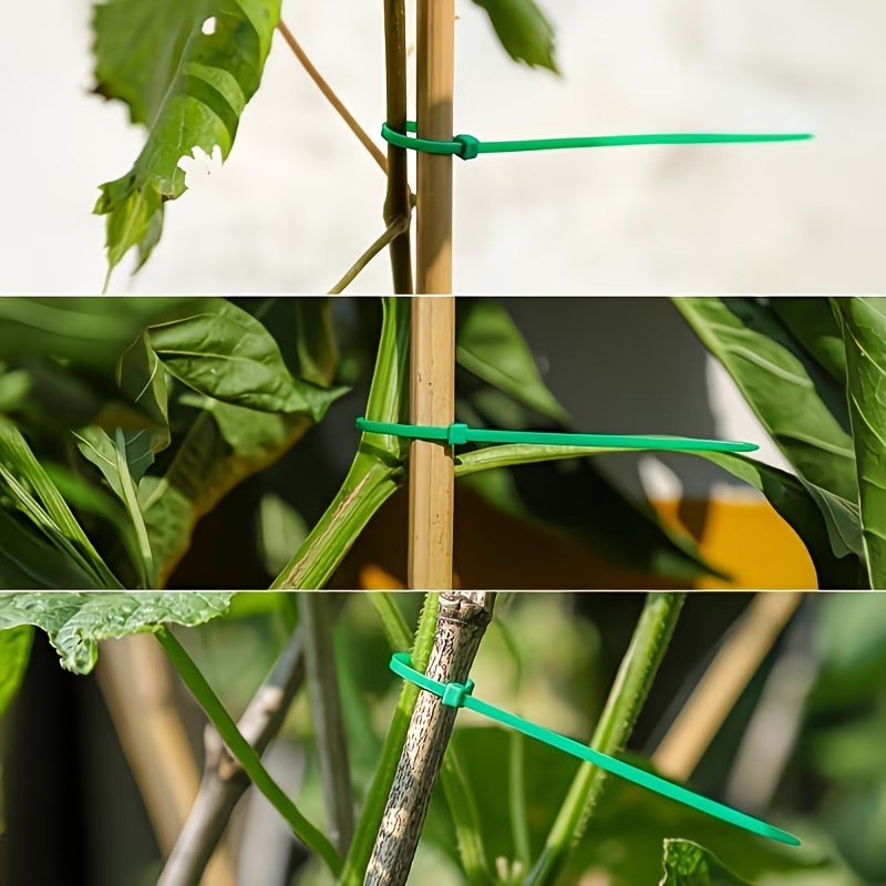 50-300pcs Adjustable Plastic P - Vine Climbing Plastic recensie en prijs