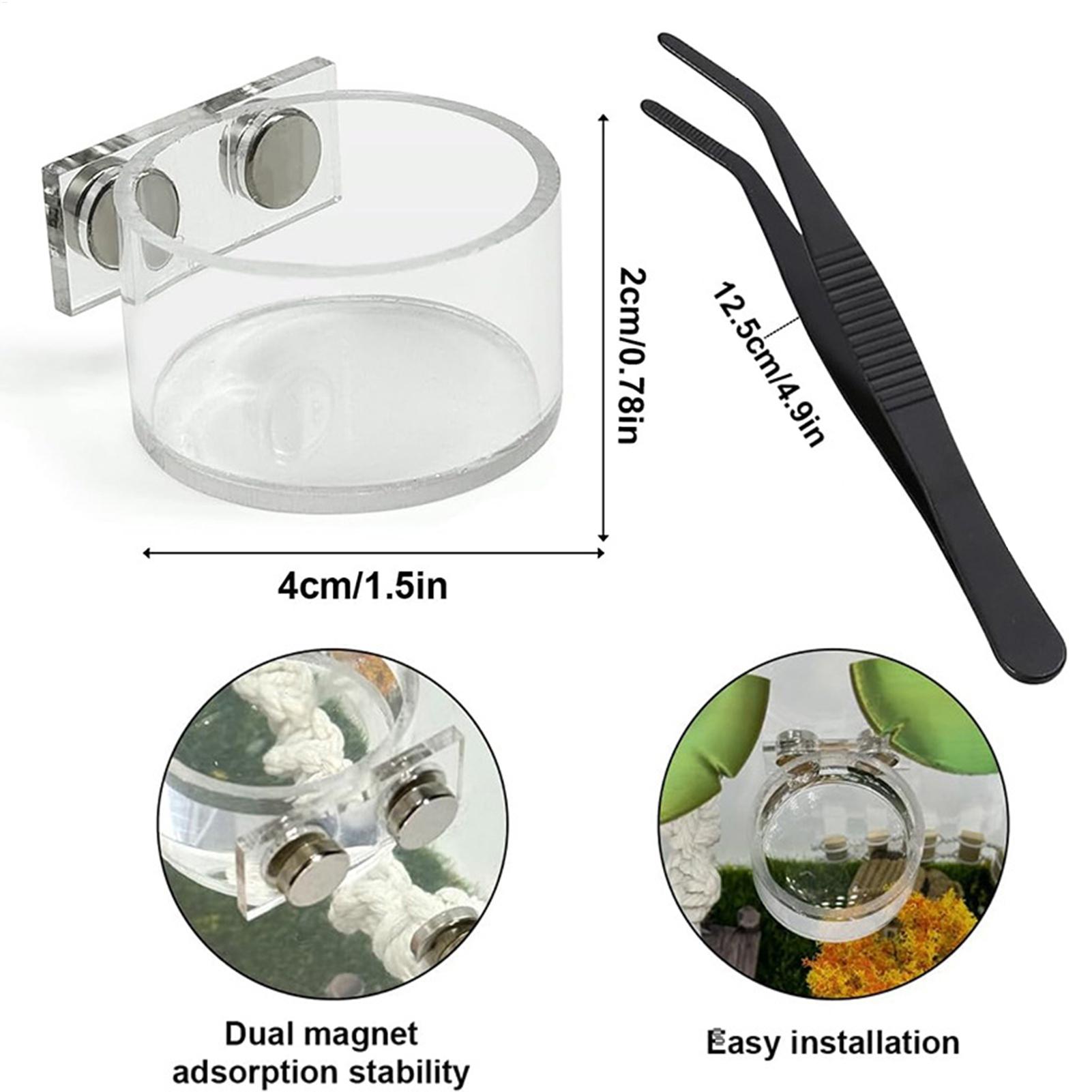 Magnetic Feeding Dish For Jump - Water Dish Reptile recensie en prijs