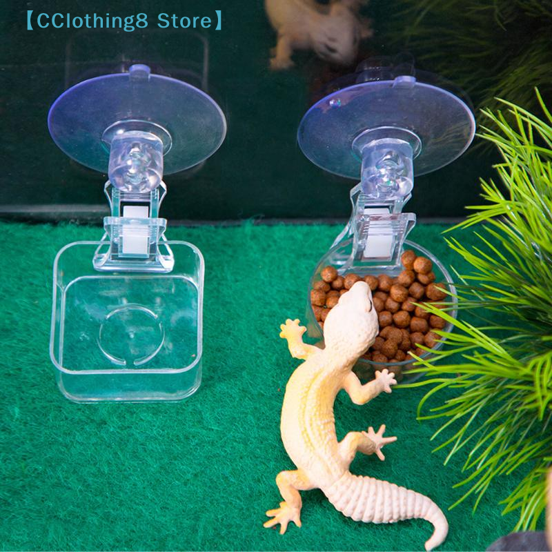 1Pcs Reptile Water Food Bowl S - Water Dish Reptile recensie en prijs