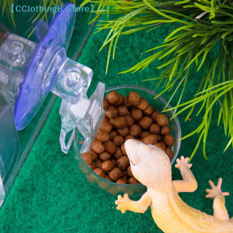 1Pcs Reptile Water Food Bowl S - Water Dish Reptile recensie en prijs