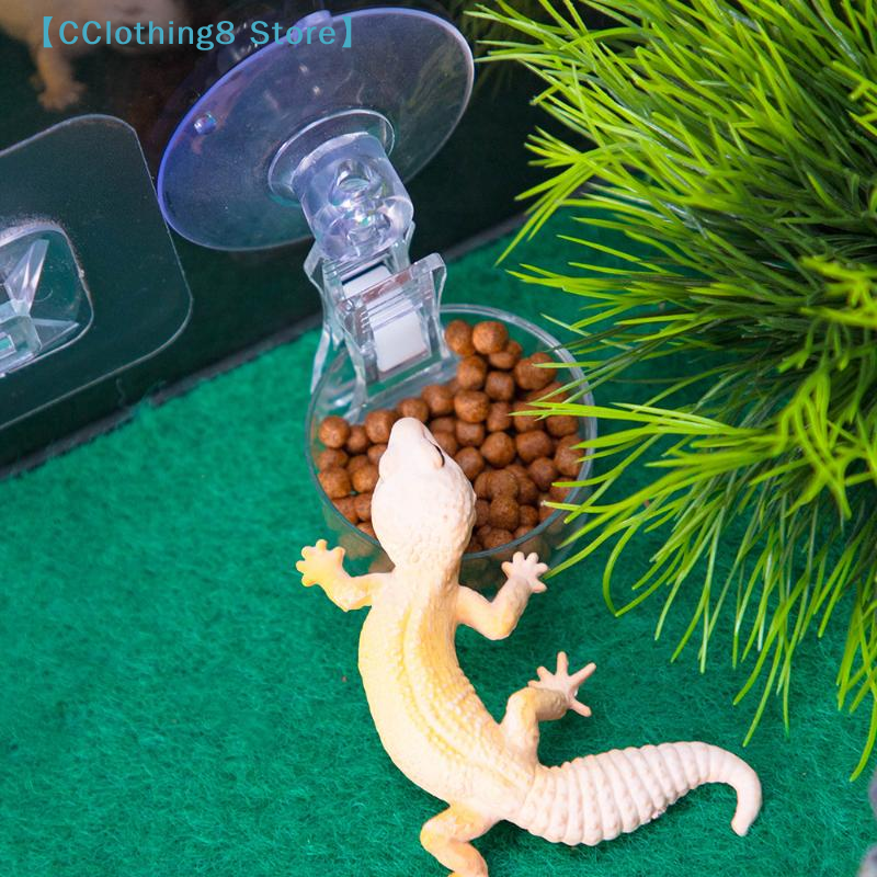 1Pcs Reptile Water Food Bowl S - Water Dish Reptile recensie en prijs