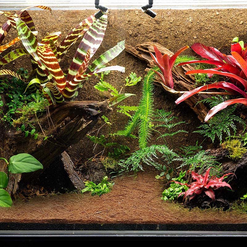 AT21-Natural Coconut Fiber Mat - Substrate Coconut Fiber recensie en prijs