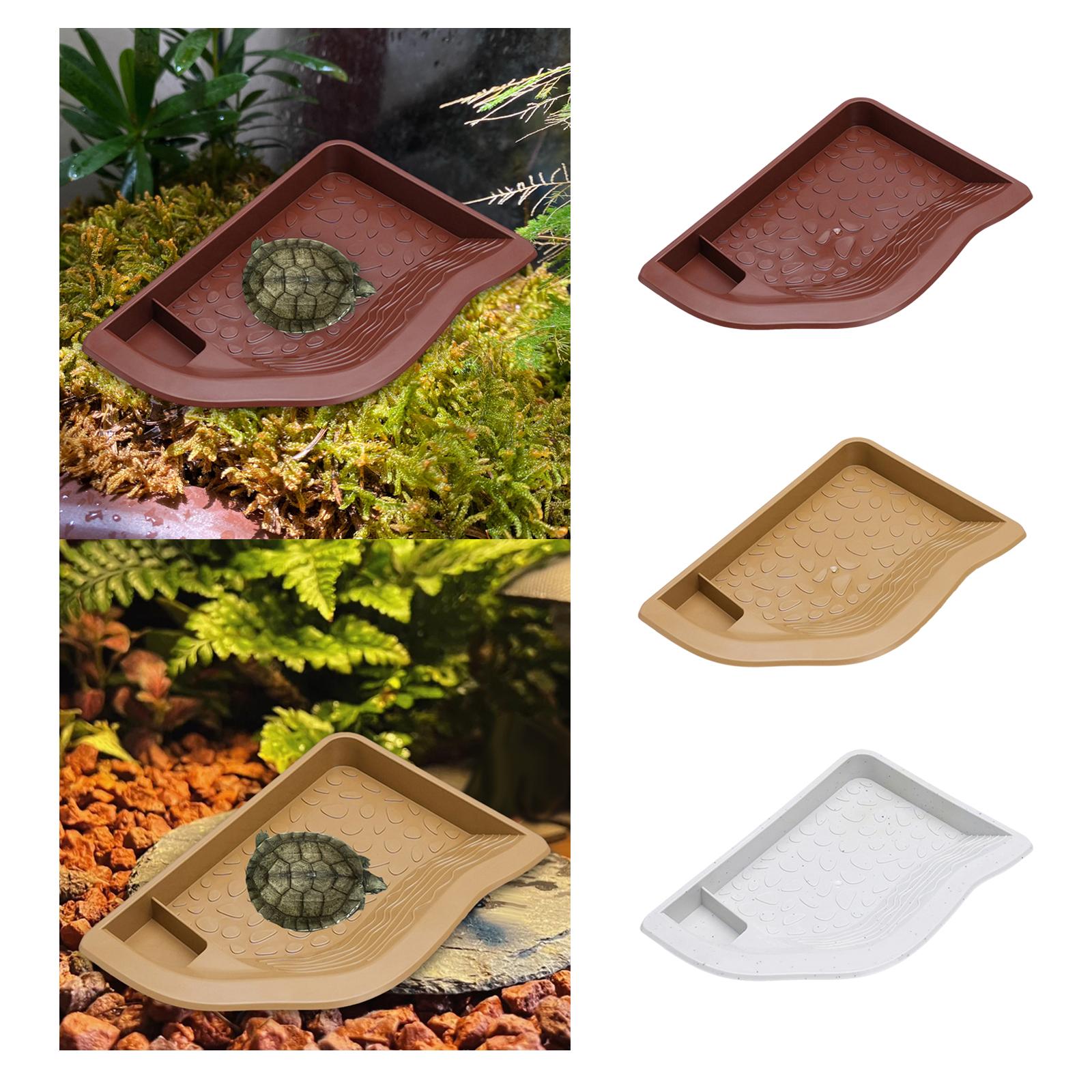 Reptile Pool Water Dish, Torto - Water Dish Reptile recensie en prijs