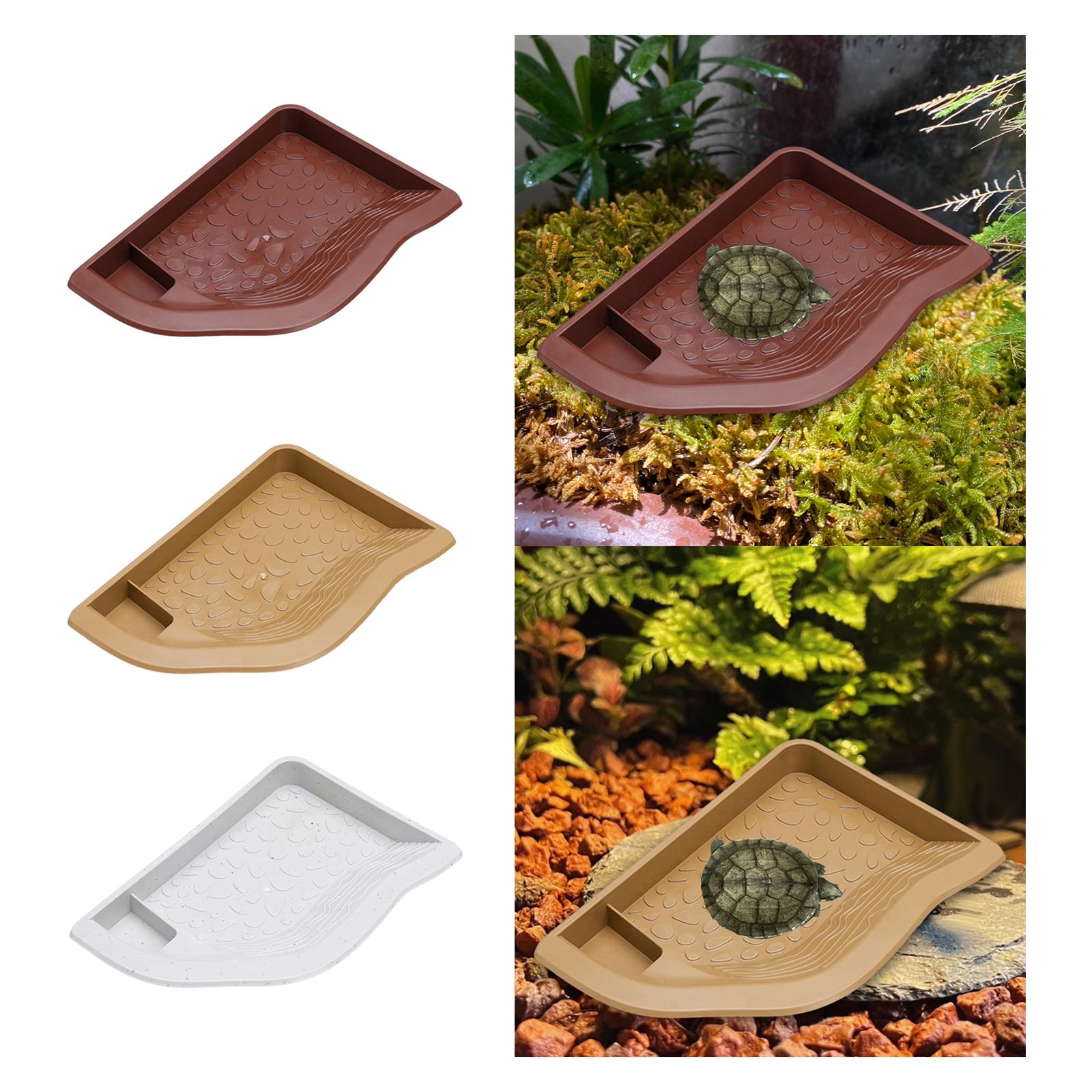 Reptile Pool Water Dish, Torto - Water Dish Reptile recensie en prijs