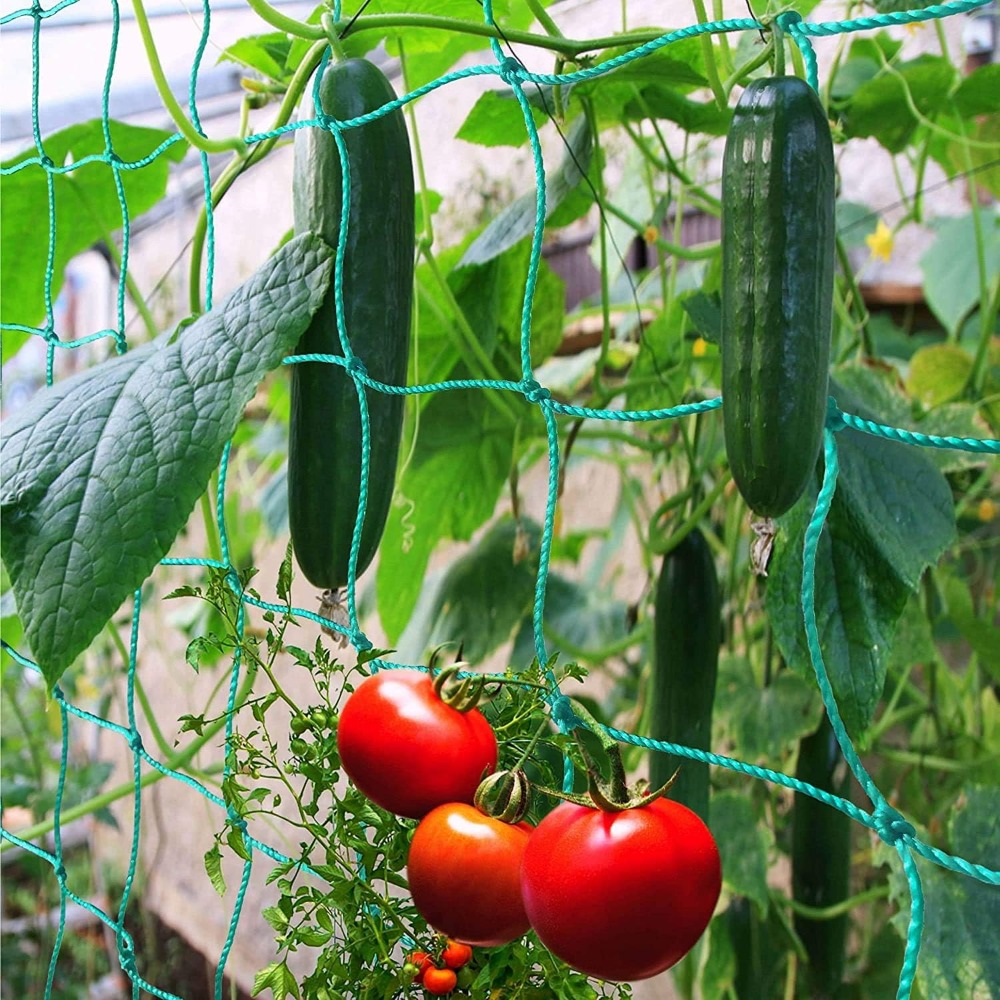 1pc Trellis Netting, Portable  - Vine Climbing Plastic recensie en prijs