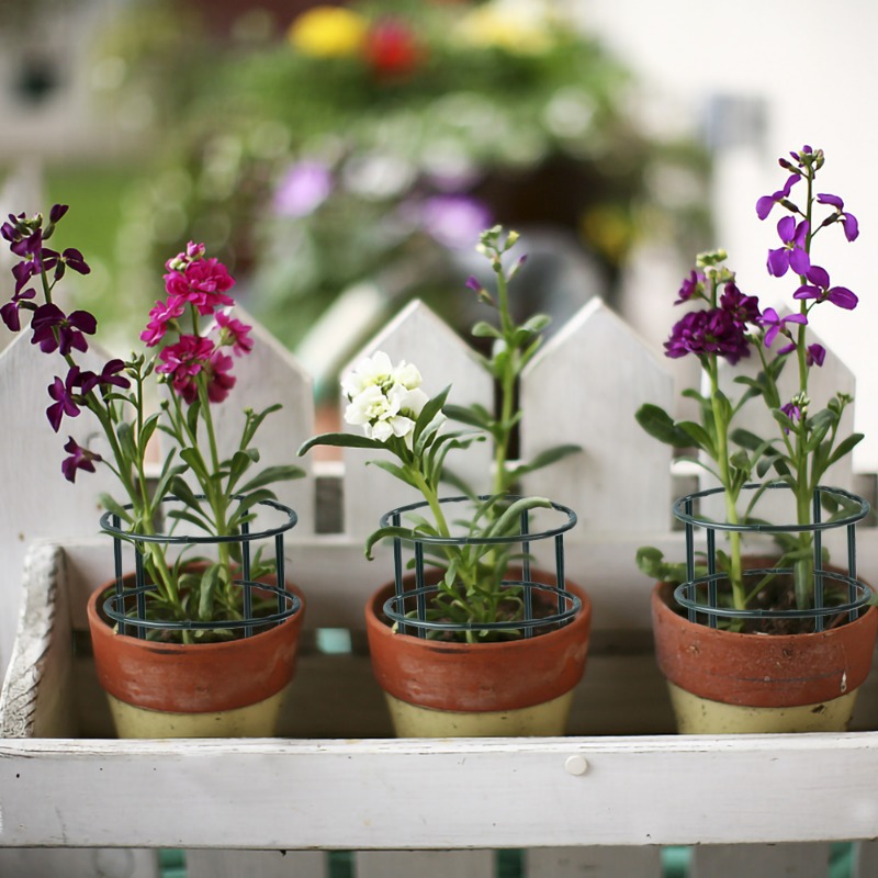 Plastic Plant Support Pile Fra - Vine Climbing Plastic recensie en prijs