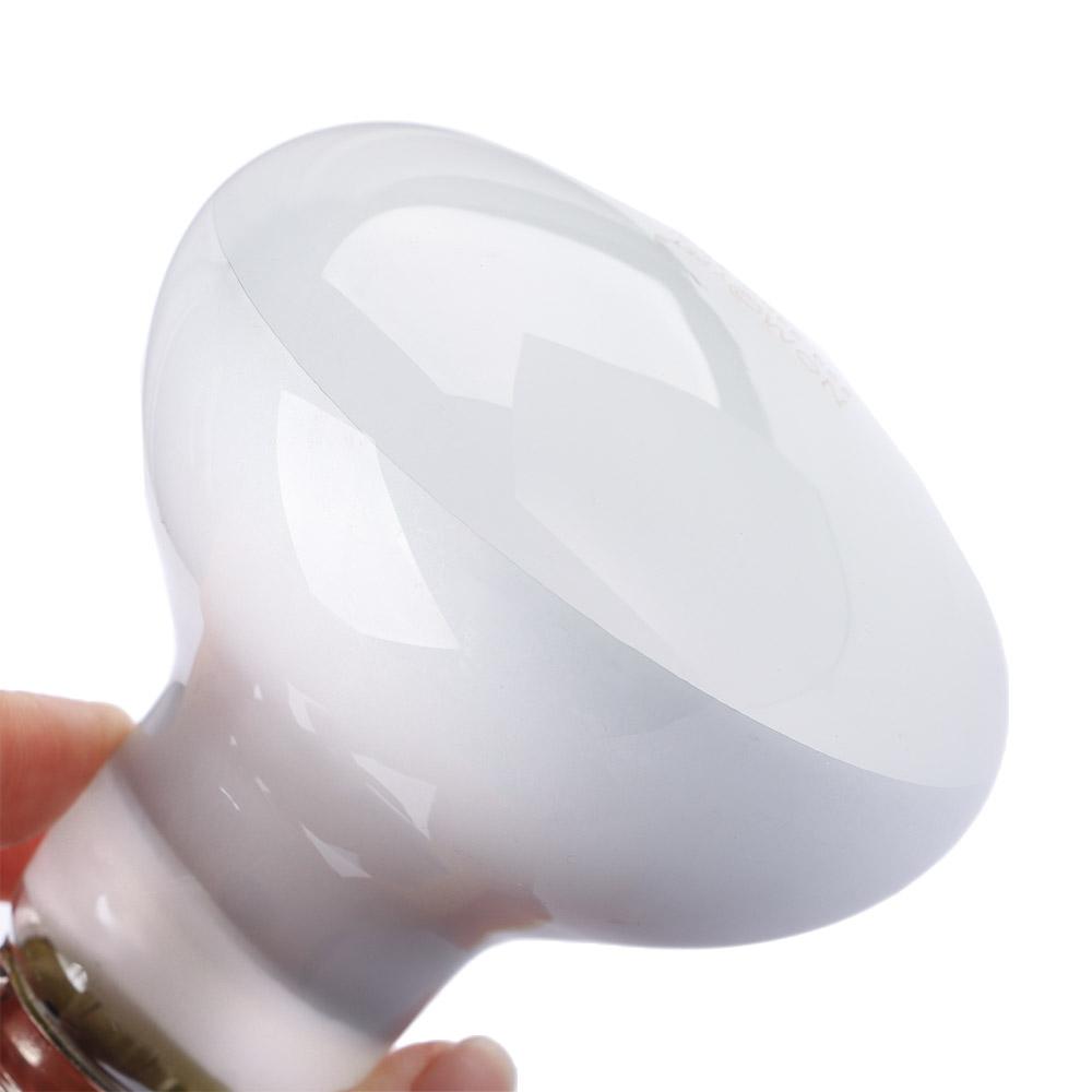 Turtle Heater Temperature Cont - Basking Bulb Halogen recensie en prijs