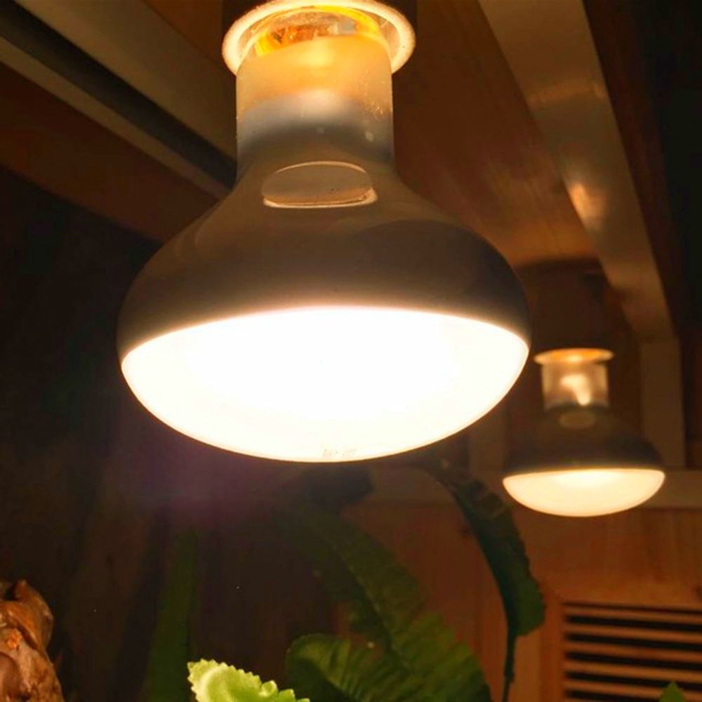 Turtle Heater Temperature Cont - Basking Bulb Halogen recensie en prijs