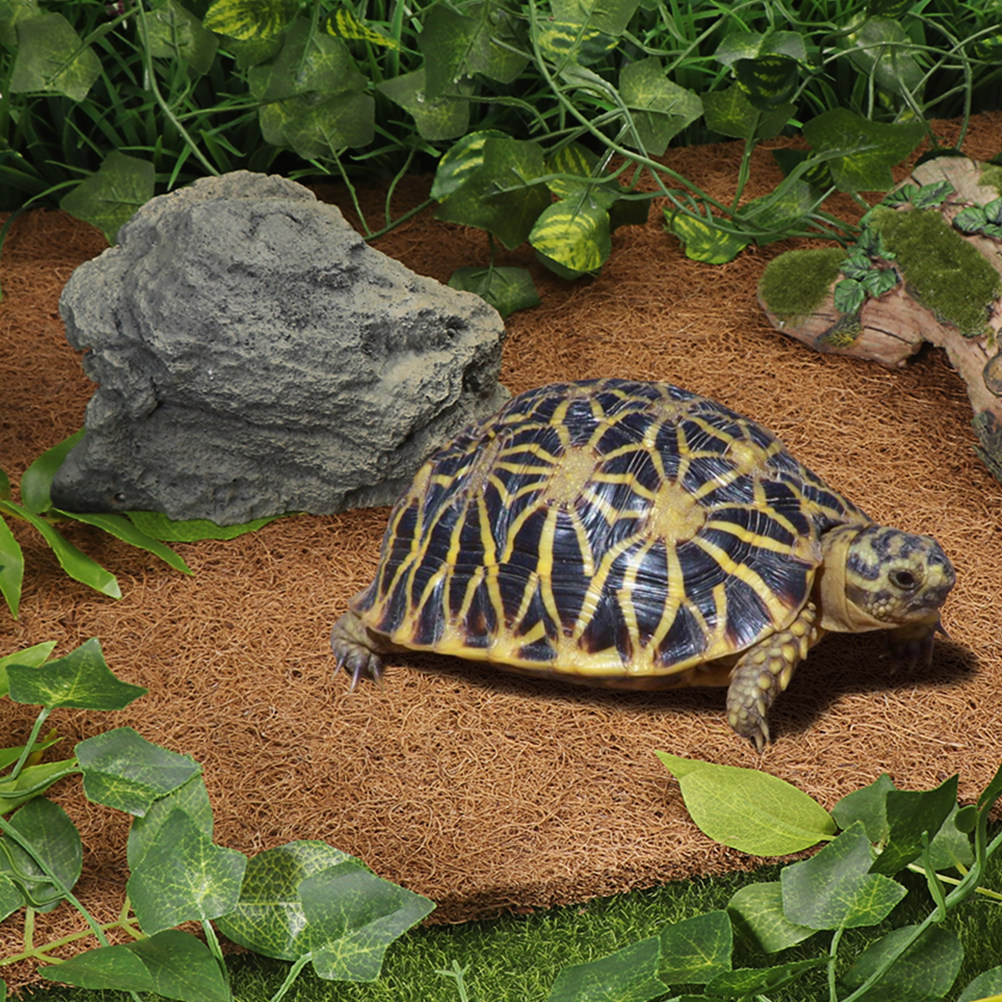 Terrarium Bedding for Reptiles - Substrate Coconut Fiber recensie en prijs