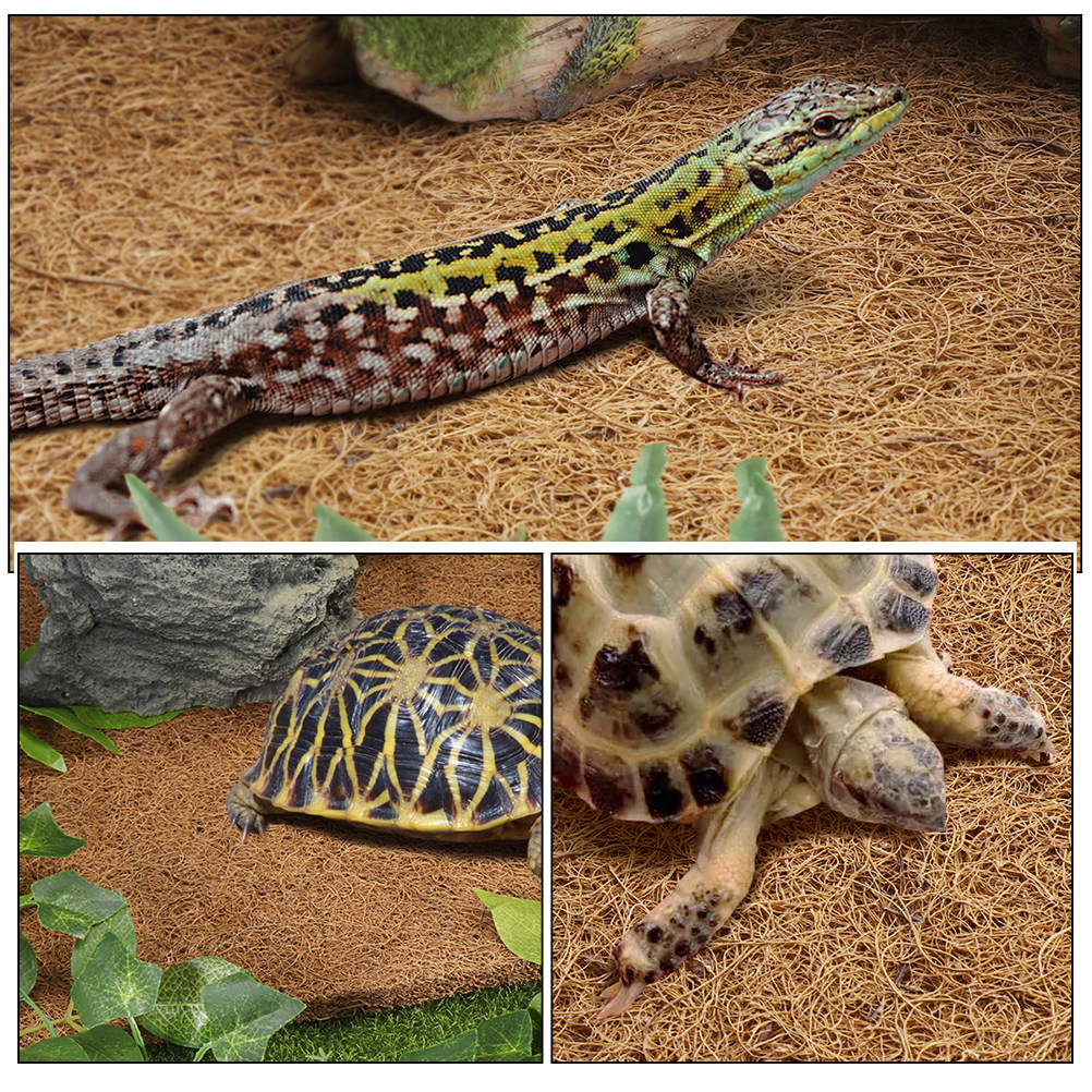 Terrarium Bedding for Reptiles - Substrate Coconut Fiber recensie en prijs
