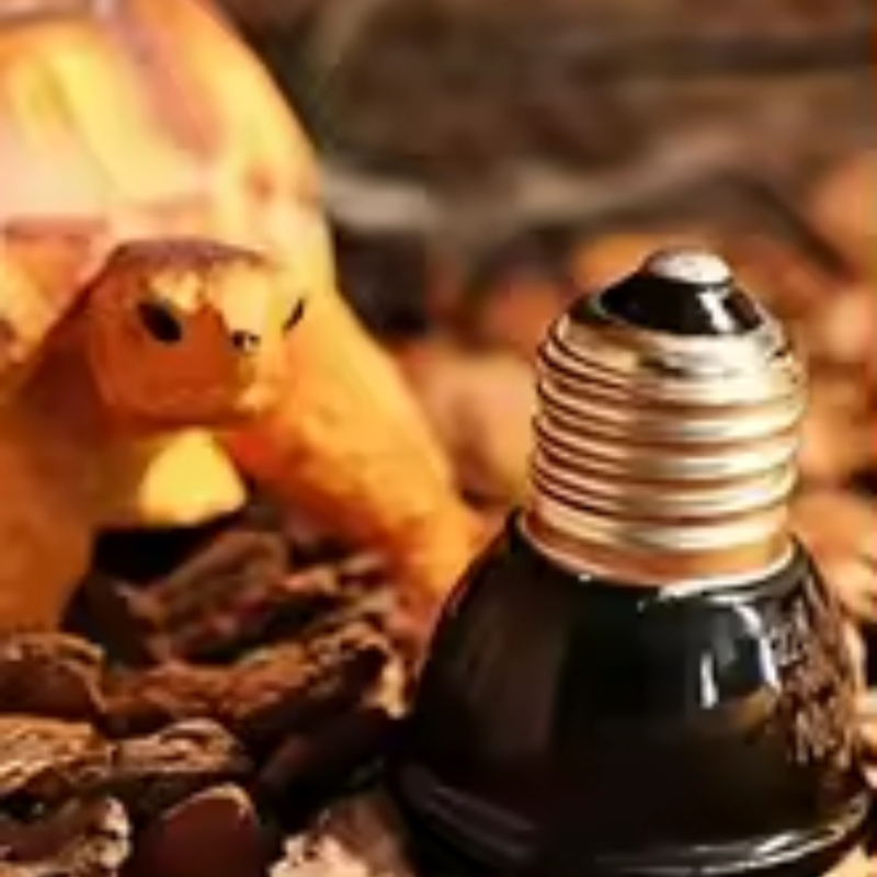 Reptile Ceramic Heat Emitter M - Ceramic Heat Emitter recensie en prijs