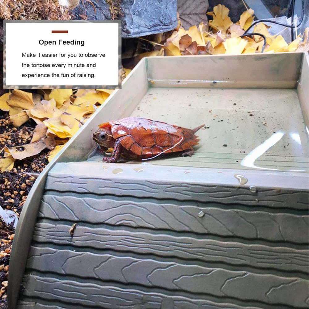 Turtle Bathing Pool Feeding Di - Water Dish Reptile recensie en prijs