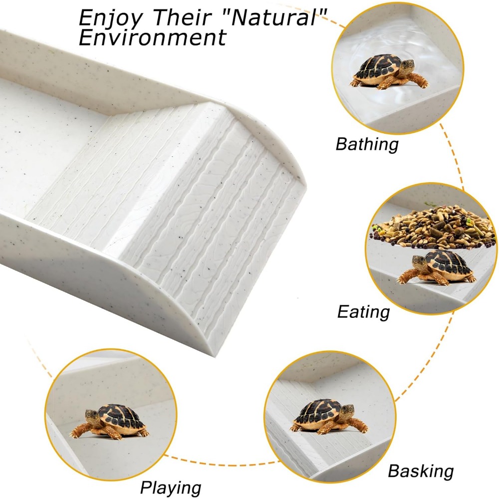 Turtle Bathing Pool Feeding Di - Water Dish Reptile recensie en prijs