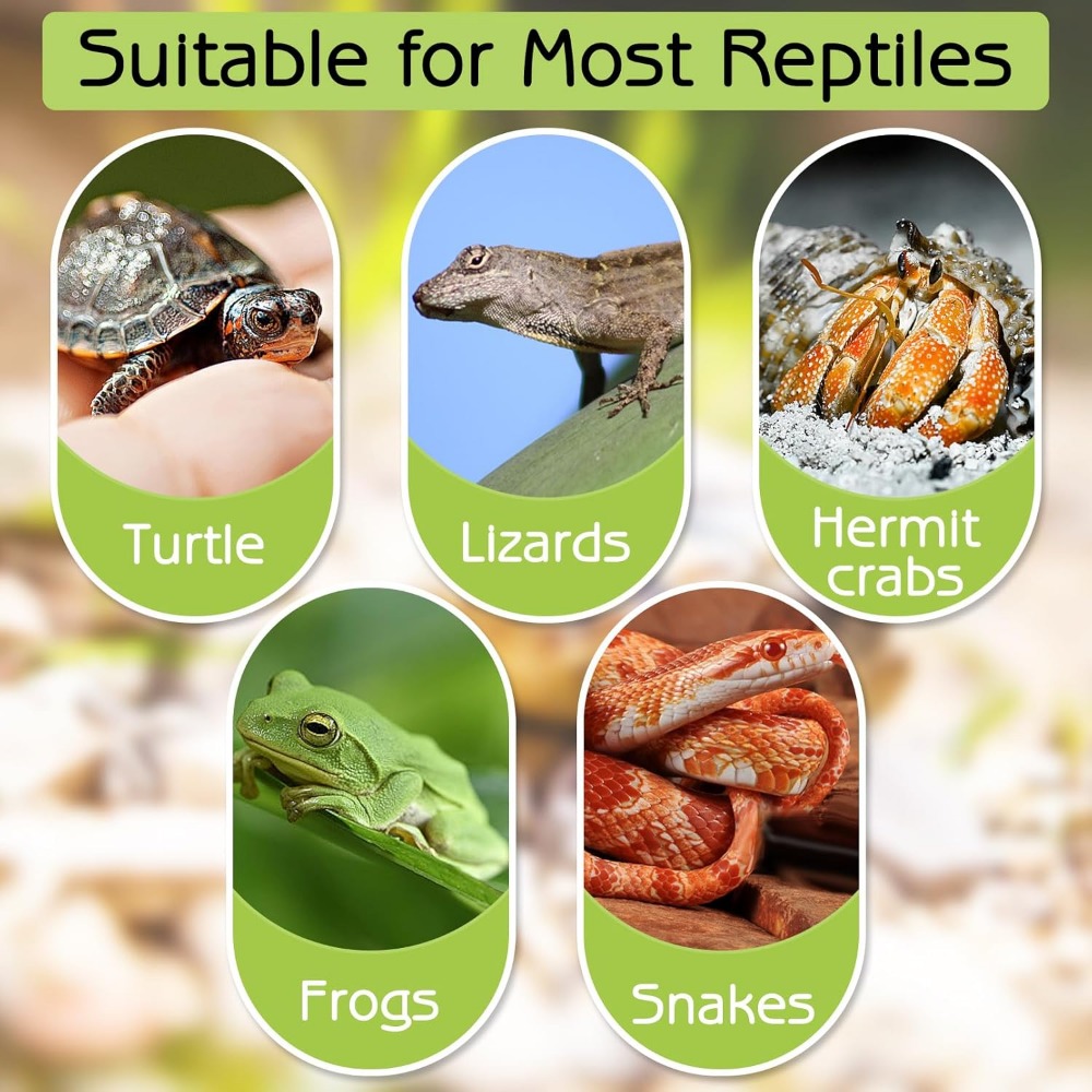 Turtle Bathing Pool Feeding Di - Water Dish Reptile recensie en prijs