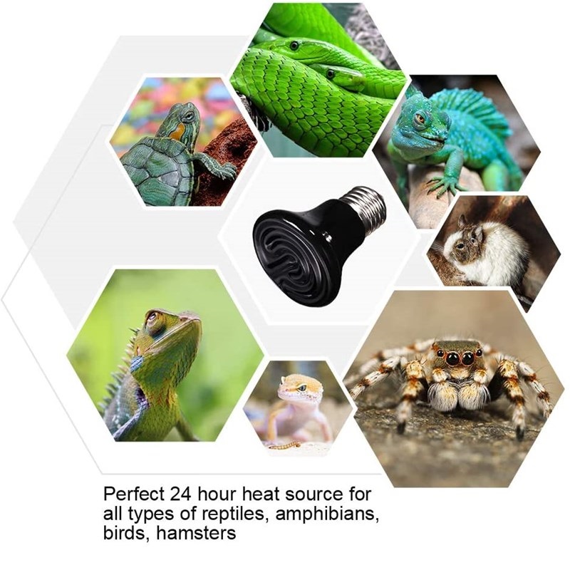Reptile Heating Lamp for Turtl - Ceramic Heat Emitter recensie en prijs