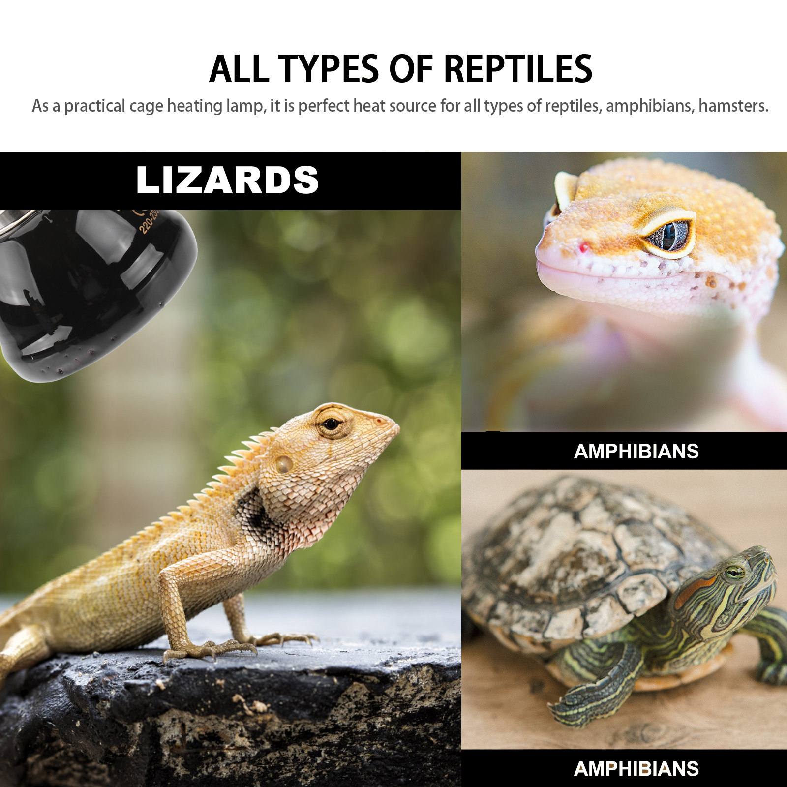 1Pcs 40W E27 Reptile Heat Ligh - Ceramic Heat Emitter recensie en prijs