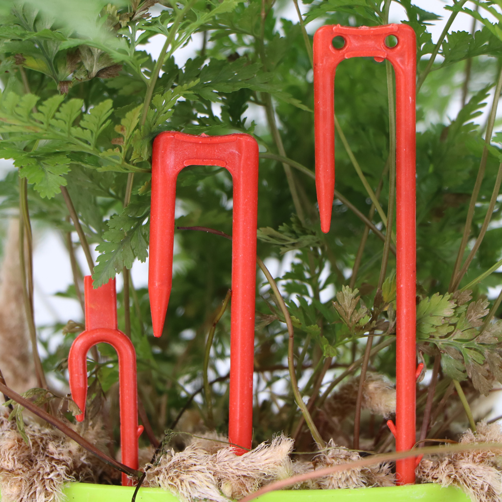 20-50PCS Strawberry Planting F - Vine Climbing Plastic recensie en prijs