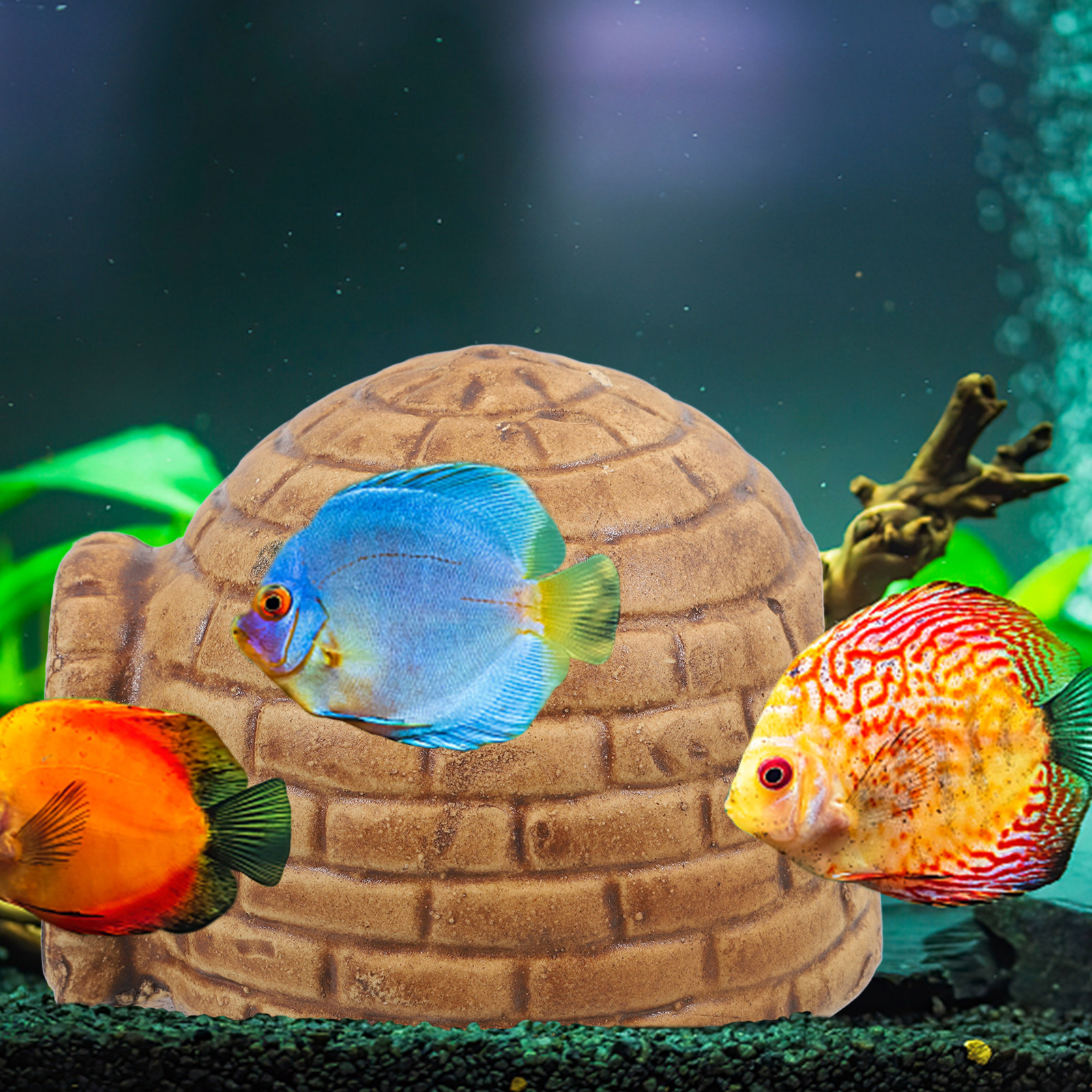 Pleco Caves for Aquarium Durab - Hide Cave Ceramic recensie en prijs