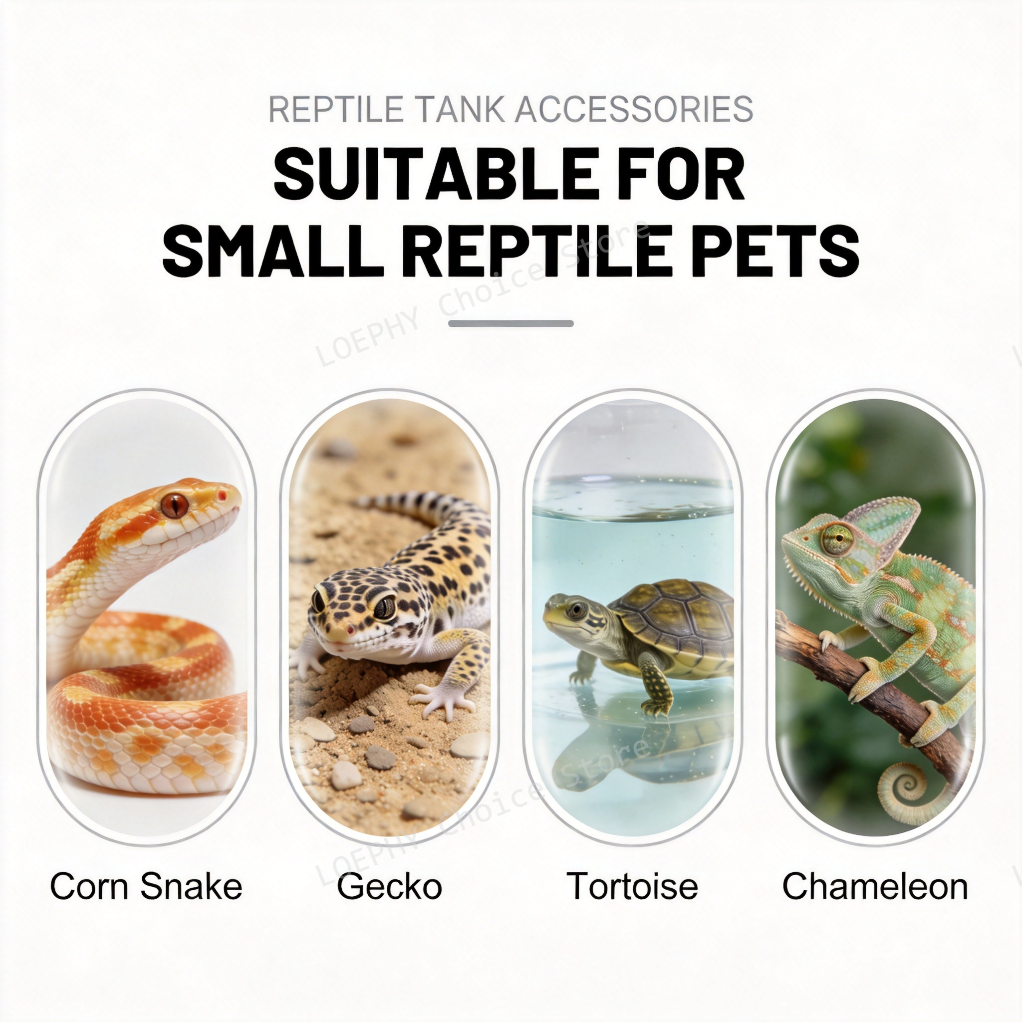 Castle Reptile Water Bowl Lion - Water Dish Reptile recensie en prijs