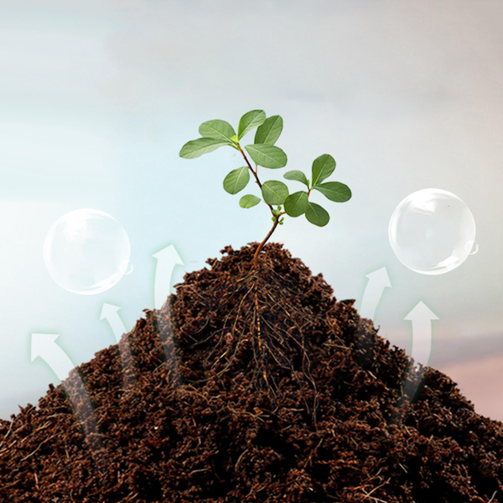 Soil Coconut Fibre Terrarium S - Substrate Coconut Fiber recensie en prijs