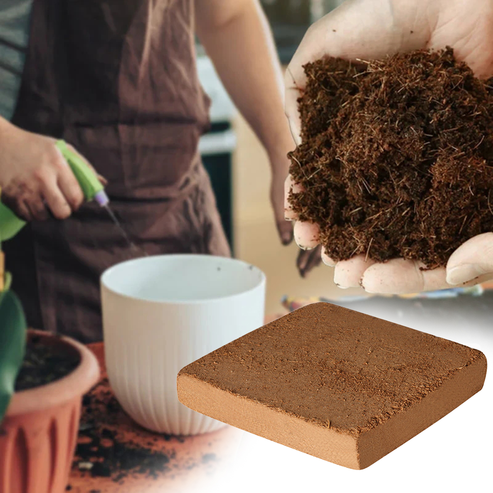 Soil Coconut Fibre Terrarium S - Substrate Coconut Fiber recensie en prijs
