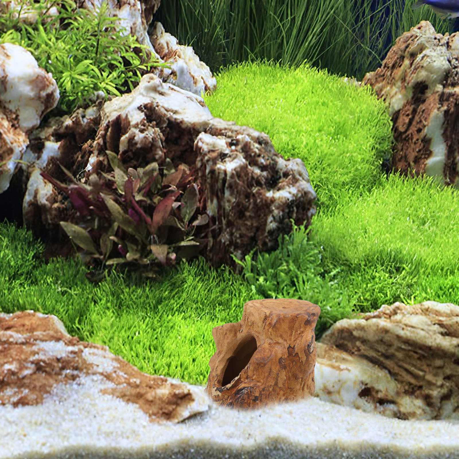 Natural-Looking Ceramic Fish T - Hide Cave Ceramic recensie en prijs