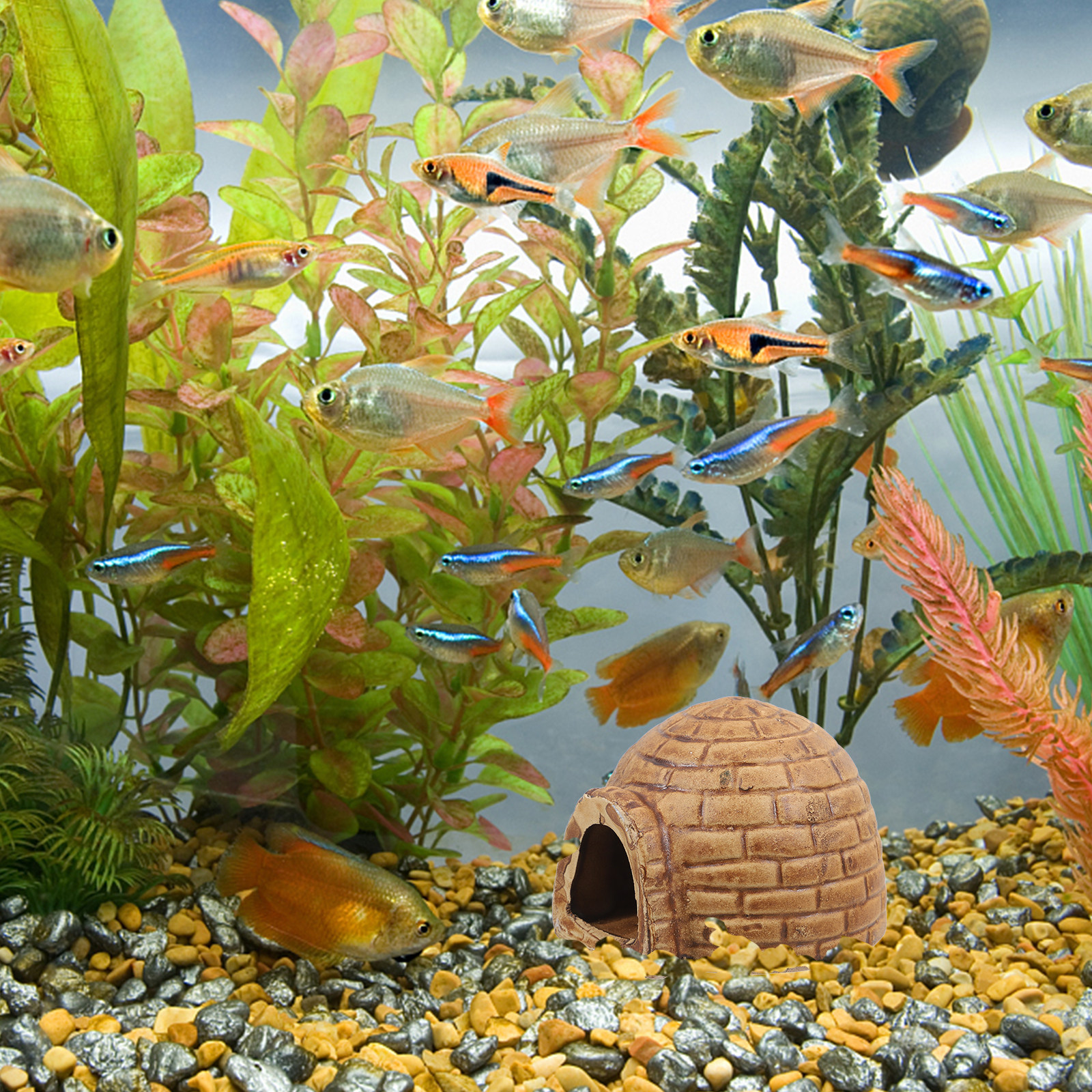 Ceramic Pleco Caves Aquarium F - Hide Cave Ceramic recensie en prijs