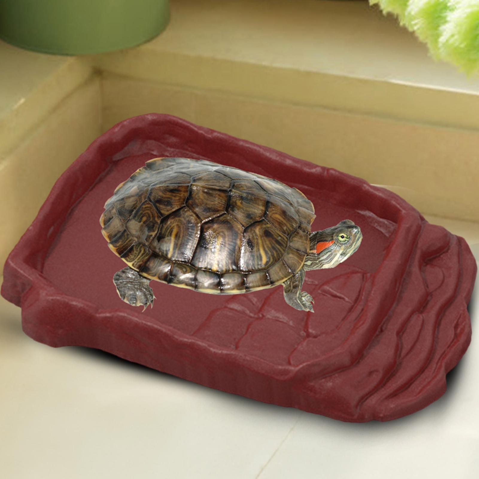 Anti-Slip Ladders Reptile Bowl - Water Dish Reptile recensie en prijs